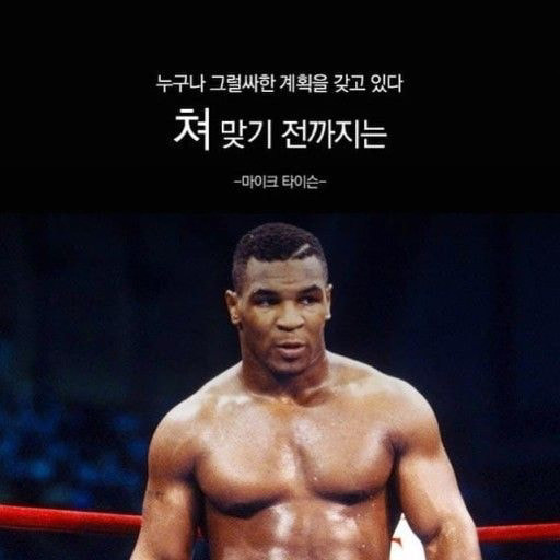 누구나 그럴싸한 계획을 갖고 있다. 쳐 맞기 전까지는